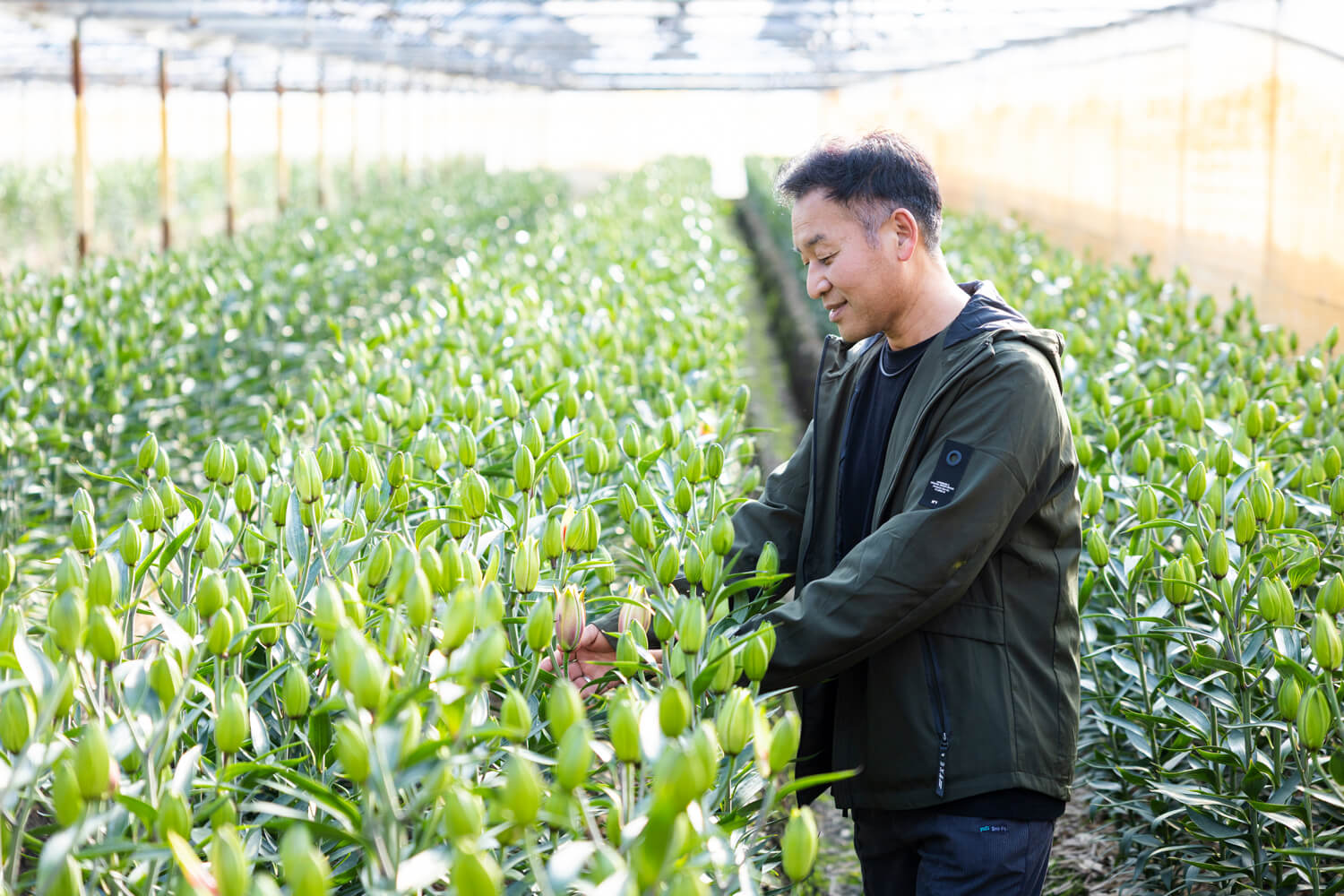 天然有機コーヒーバイオ