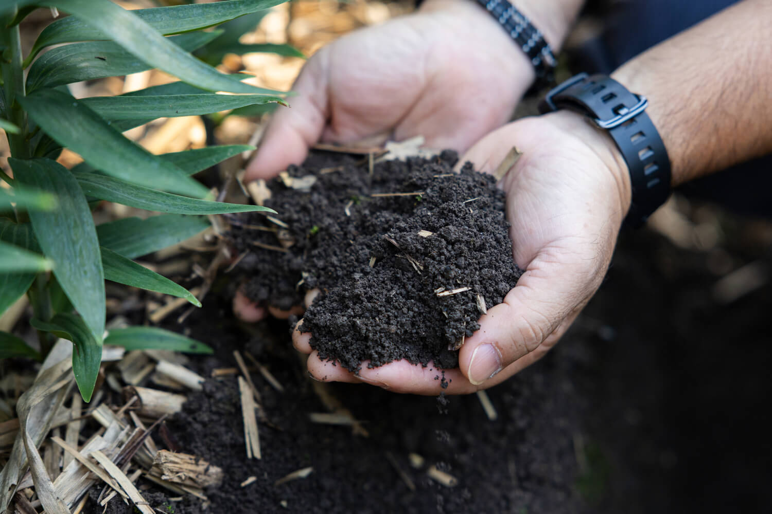 土を復活させる