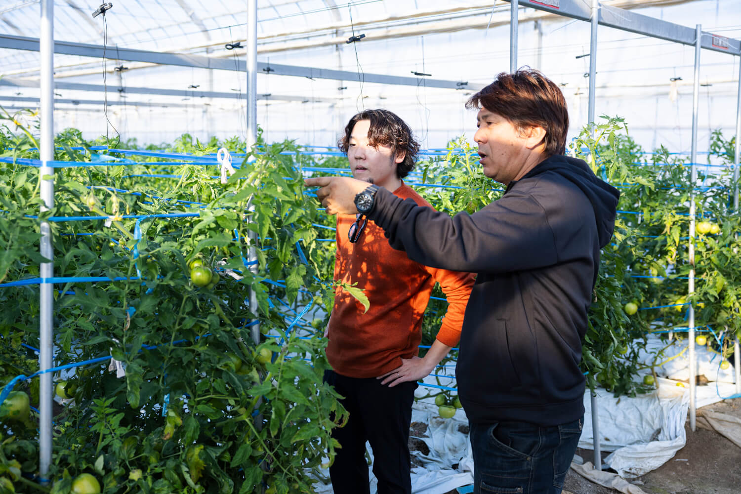 天然有機コーヒーバイオ