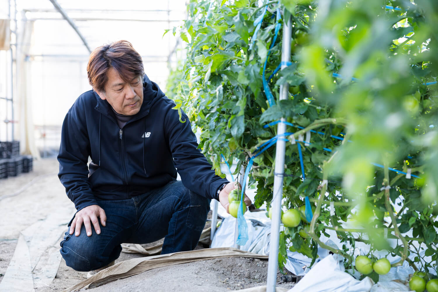 コーヒーバイオ農法